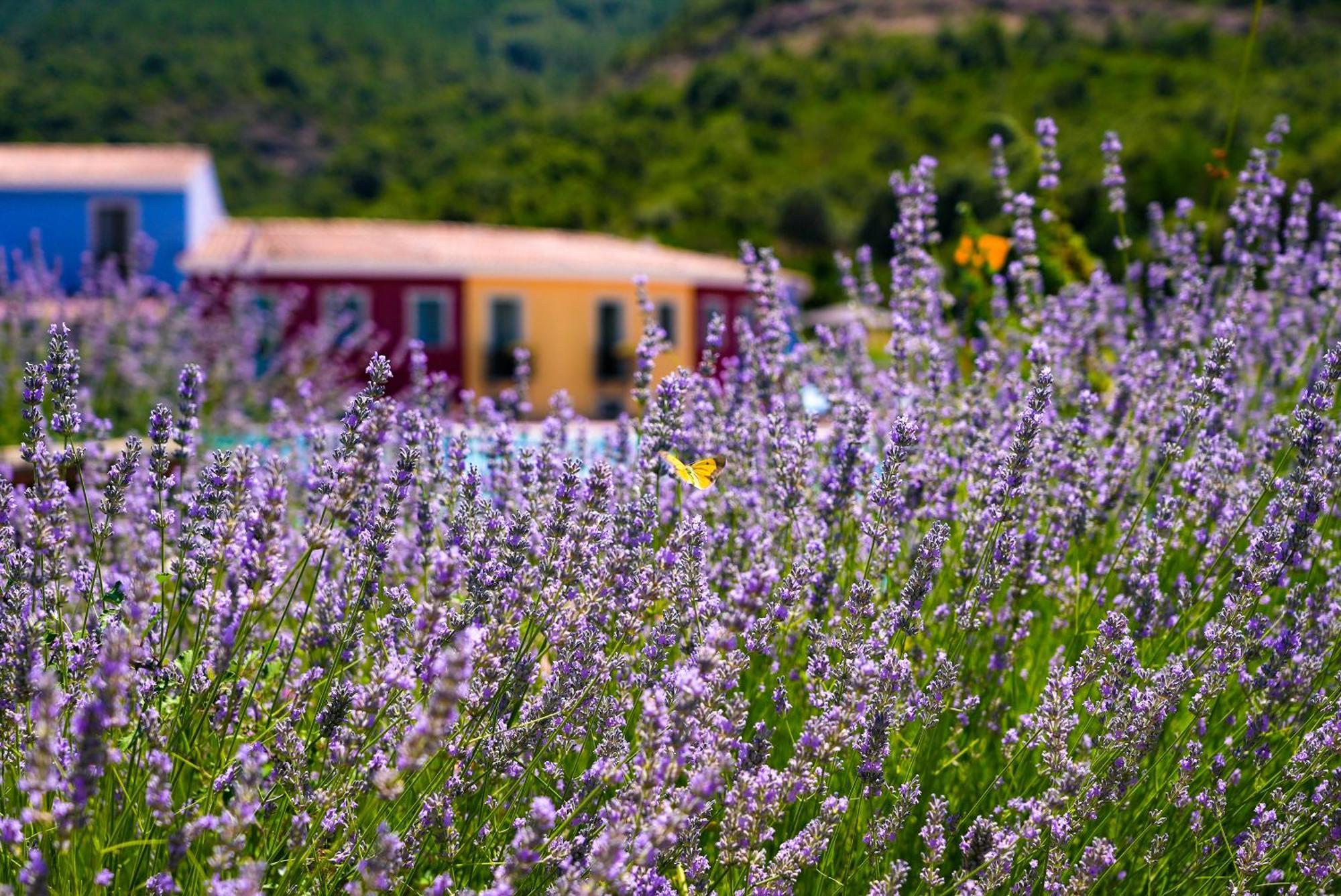 Villagrande Strisaili Eco Hotel Orlando Sardegna מראה חיצוני תמונה