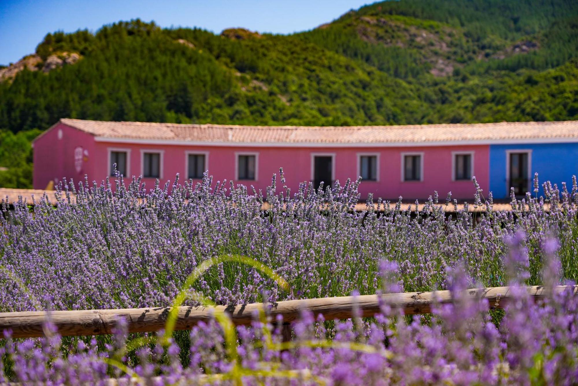 Villagrande Strisaili Eco Hotel Orlando Sardegna מראה חיצוני תמונה